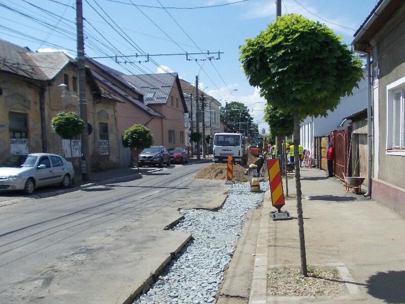 DSCN4086 800x600