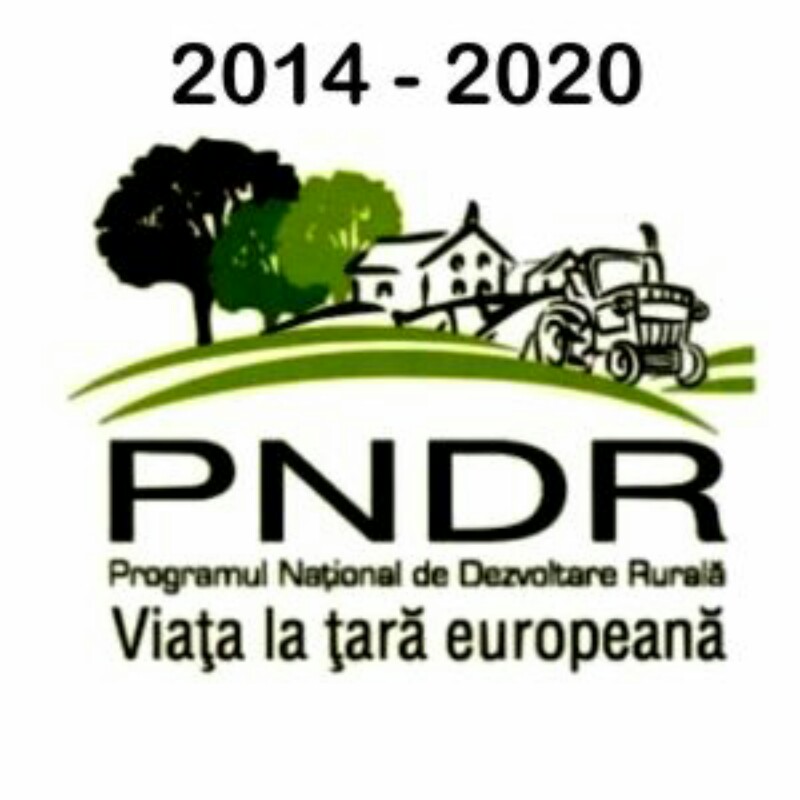 PNDR 1 800x800