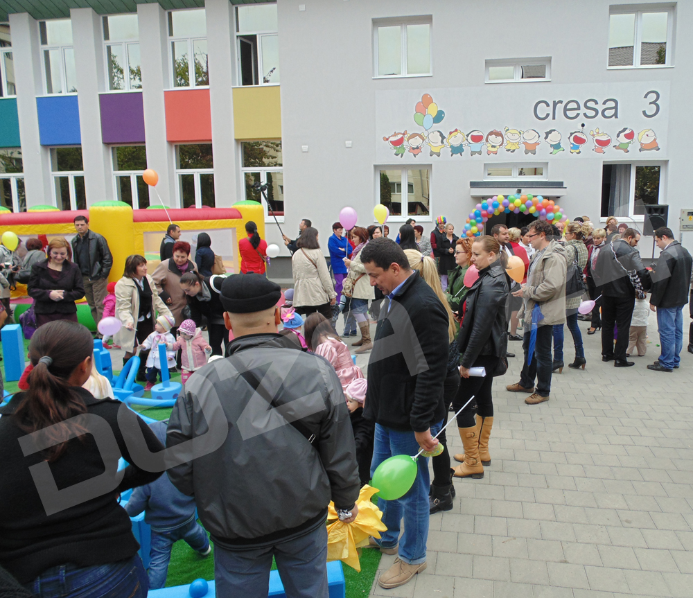 Cresa 31
