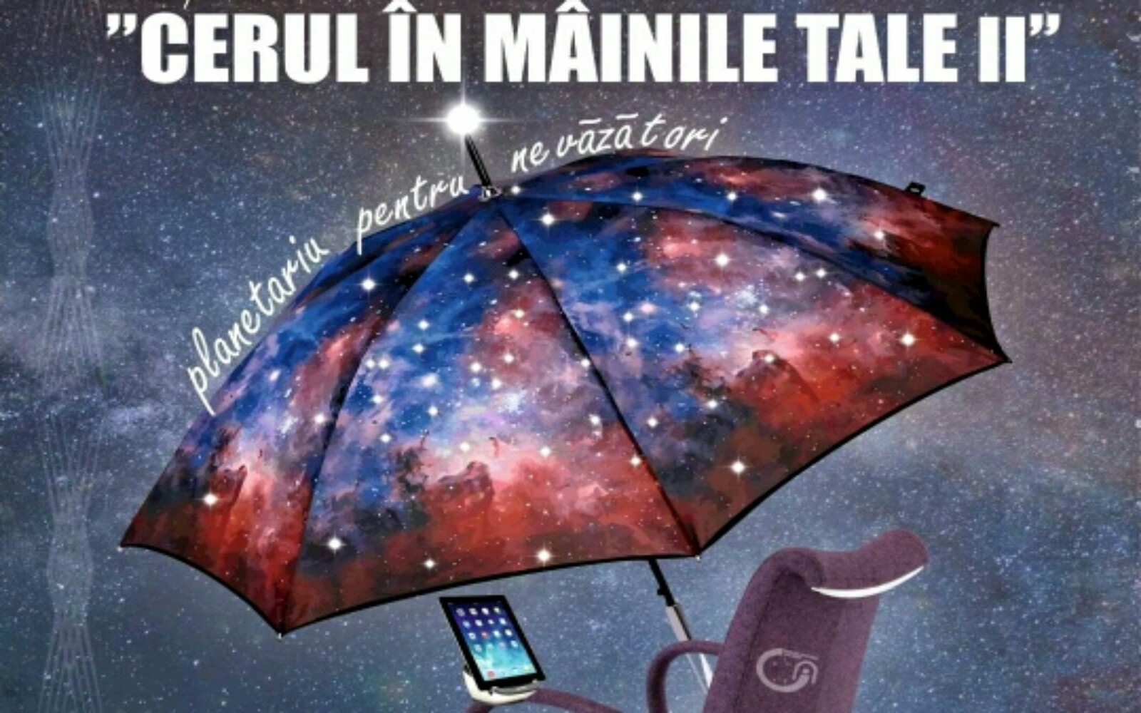 23550265 1944963532436412 2301777916028386808 O Crop 540x375 1600x1000