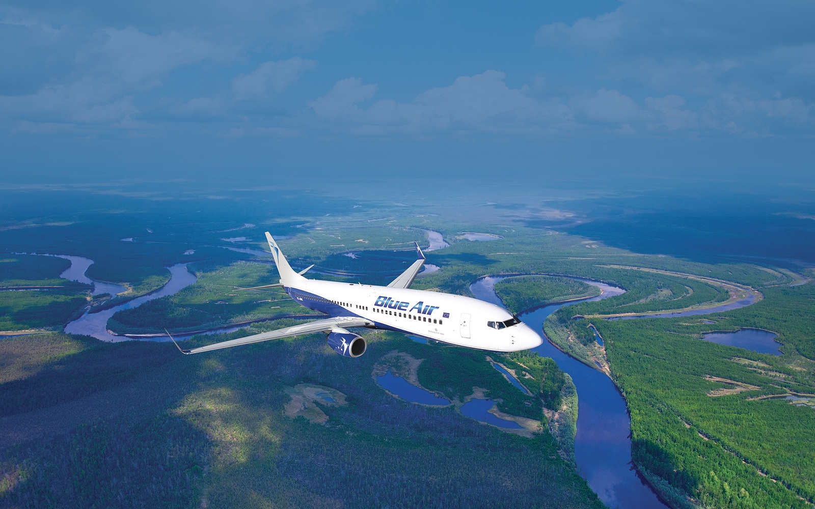 BlueAir 2.jpg