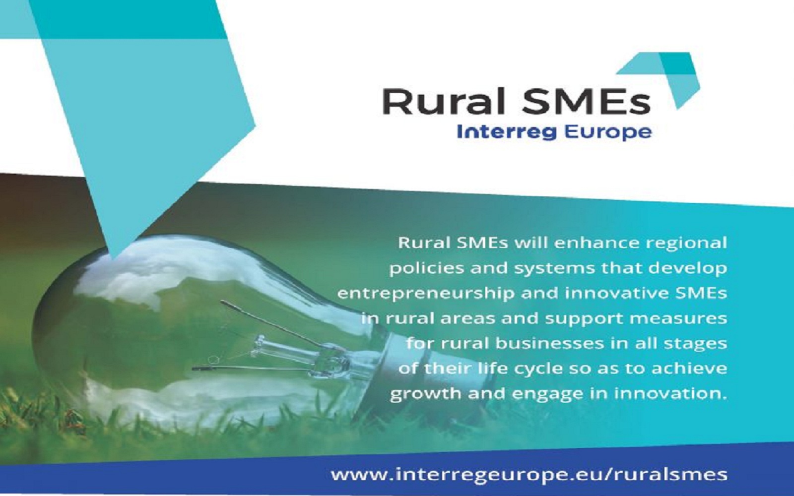 Rural SMEs12