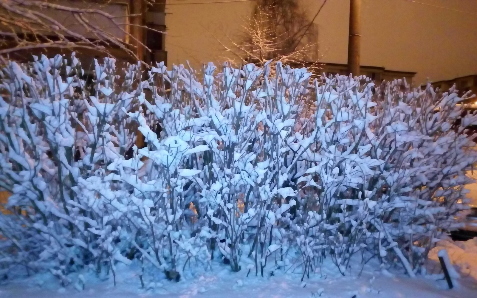 Meteozapada1