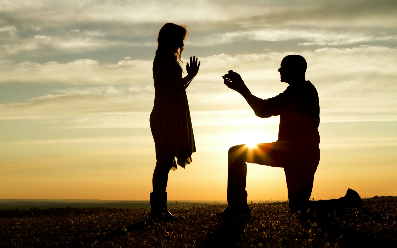 Proposals 1600x1000