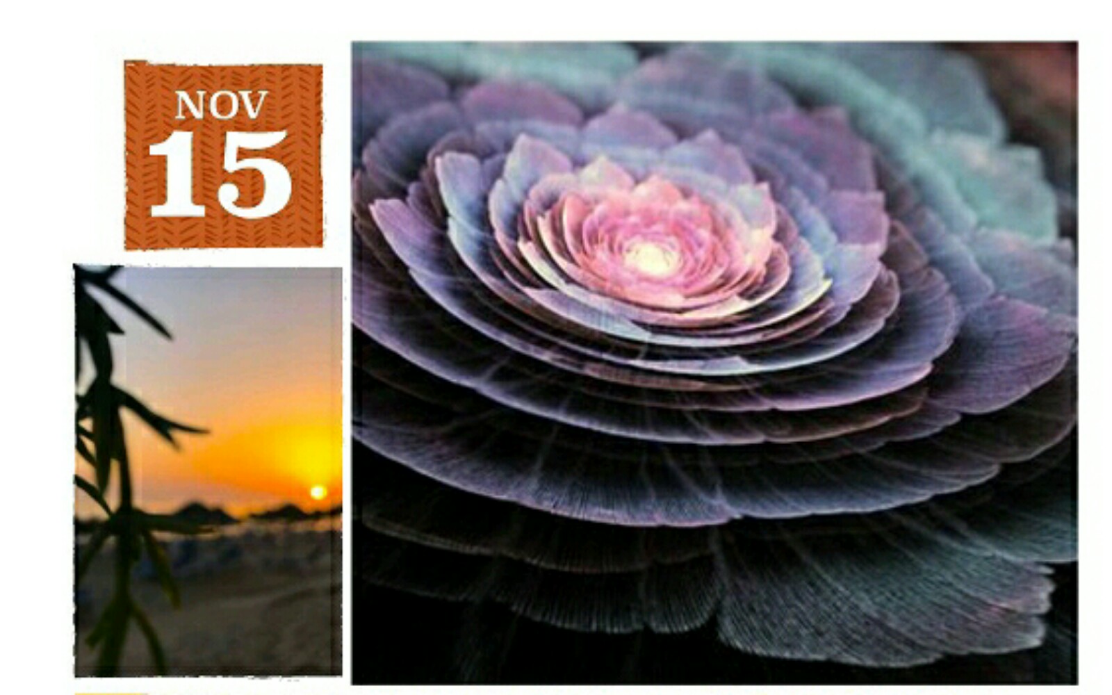 Seminar800 Crop 565x359 1600x1000