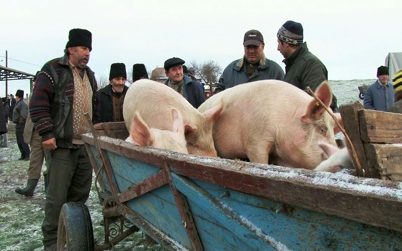 Targporci 2 1 1600x1000