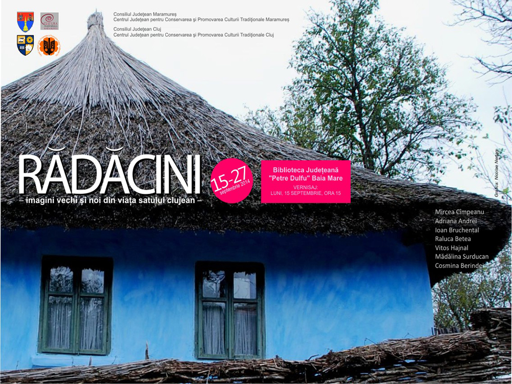 afis-RADACINI-BaiaMare-web copy