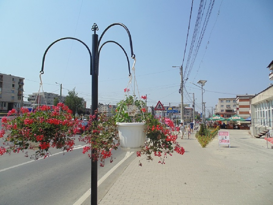 Baia Sprie Flori1