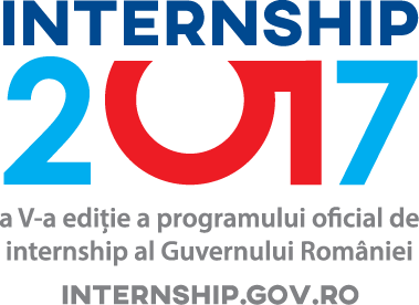 Internship 2017 Logo Complet