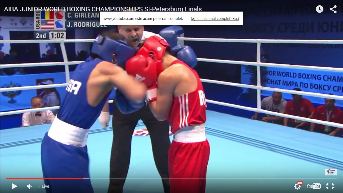 finala cm box sankt peresburg4