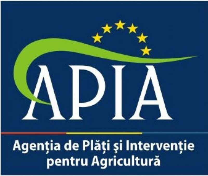 Apia Bistrita