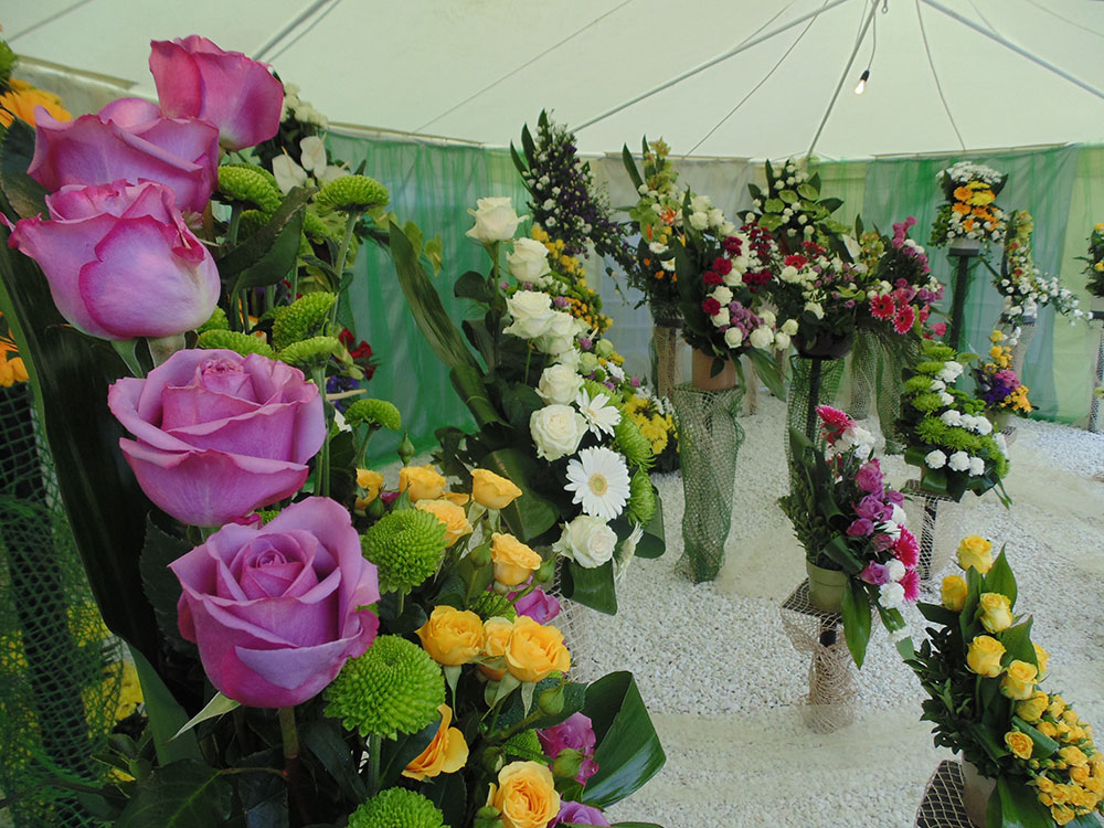 Expo Flora 2014