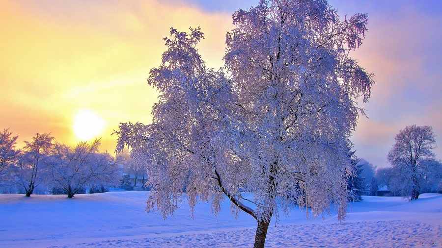 Ger Iarna