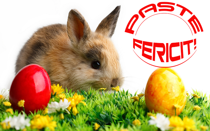 paste fericit