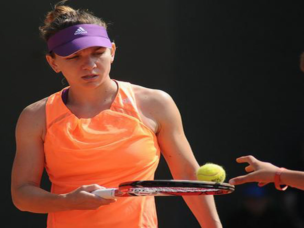 s halep copy