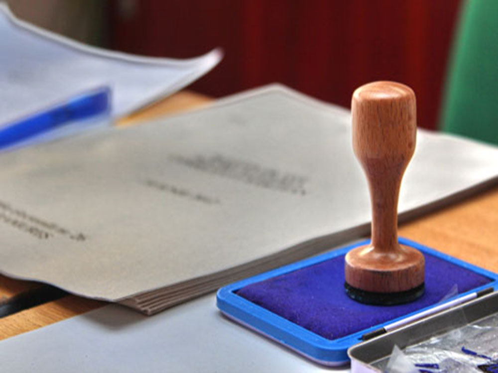 Stampila De Vot Copy